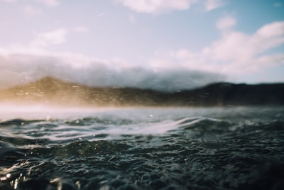 浅焦点摄影的海洋
